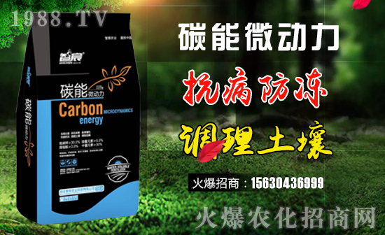     ������r(n��ng)�I(y��)��ףȫ���������w�������f��������