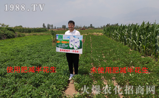     好產(chǎn)品用事實說話，“肥減半”用過的農(nóng)戶都說好！