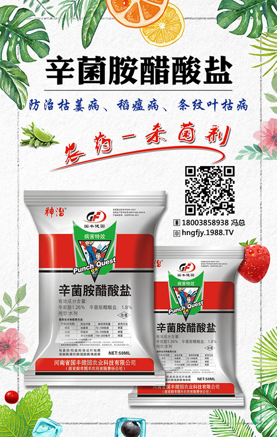 火龍果有哪些營養(yǎng)價值？紅心火龍果和白心火龍果區(qū)別是什么？