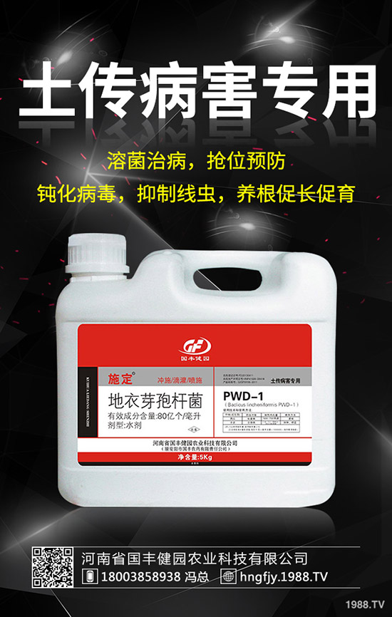 小麥除草劑什么時候打好，小麥打除草劑的時間及注意事項！