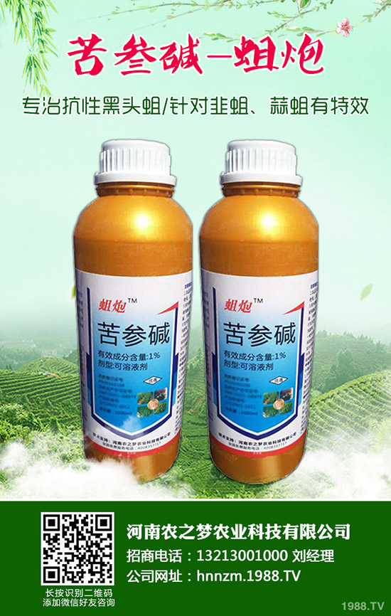 益母草的功效與作用，益母草的使用禁忌！