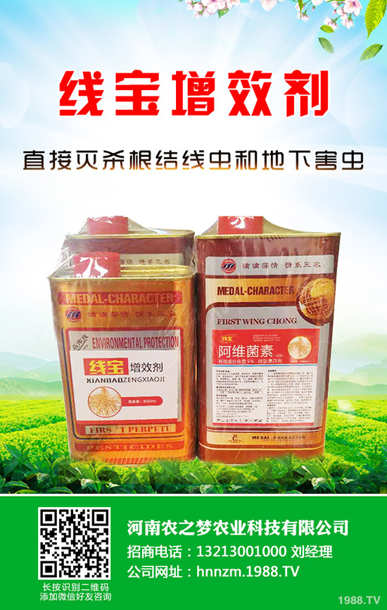 芹菜發(fā)芽慢如何解決？芹菜的催芽小技巧！