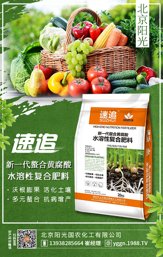 ����ꖹ���r�������޹�˾