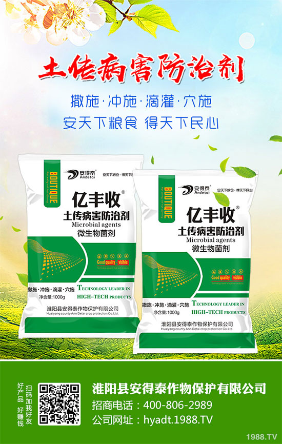 ���}���Ĺ�Ч�c���ã����}���I(y��ng)�B(y��ng)�r(ji��)ֵ��