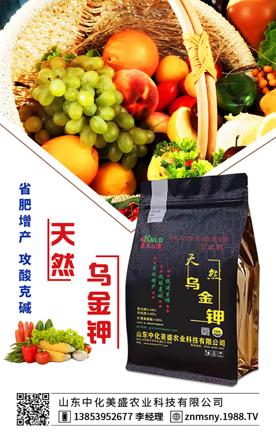 芹菜為什么會出現(xiàn)空心？芹菜空心的防治措施！