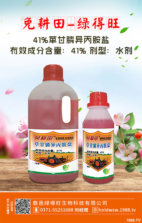 小白菜遇到白斑病該怎么辦？白菜白斑病防治措施