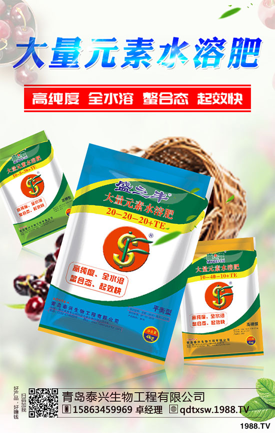 白菜根腐病有哪些危害癥狀?該如何防治?白菜根腫病的識(shí)別與防治!