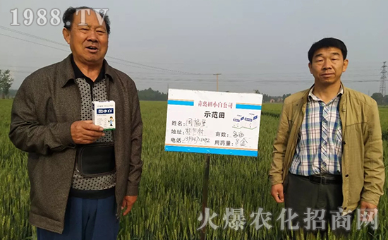 節(jié)節(jié)麥如何防除，用什么藥？