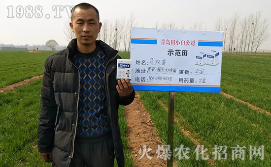 節(jié)節(jié)麥如何防除，用什么藥？