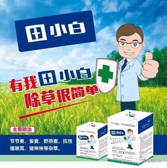 節(jié)節(jié)麥如何防除，用什么藥？怎么打藥效果好？