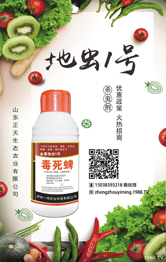 �����}����ηNֲ�������}����Ҫע��ʲô��