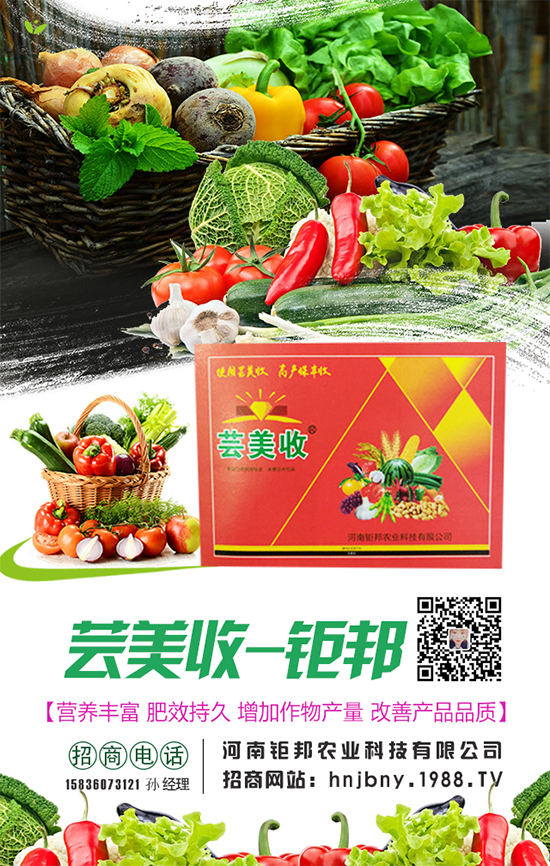 櫻桃蘿卜生長(zhǎng)對(duì)環(huán)境條件要求，櫻桃蘿卜怎么施肥？