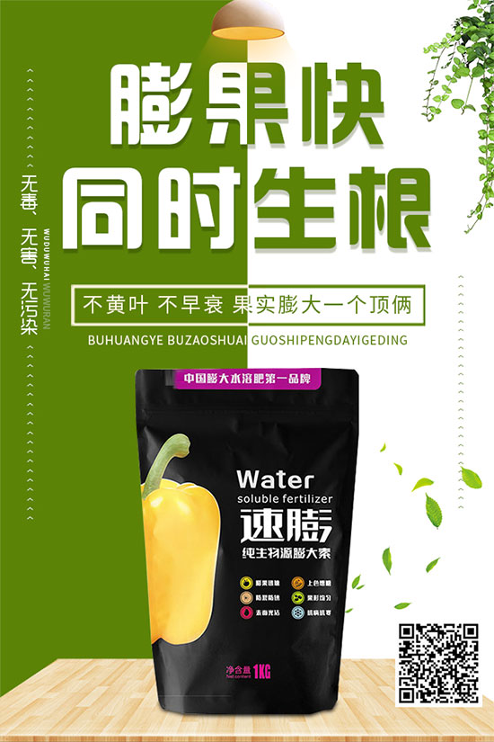 白菜霜霉病是如何引起的？有哪些危害？白菜霜霉病的預(yù)防措施