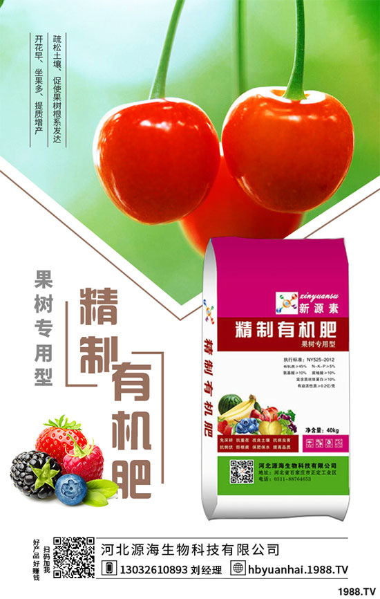 2020年香菇種植前景如何?2020年香菇種植賺錢(qián)嗎?