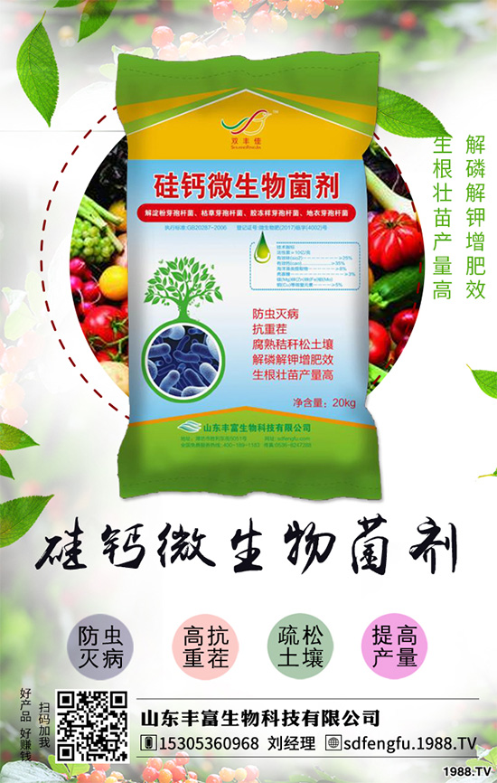 辣椒落葉是什么原因？辣椒落葉如何防治？