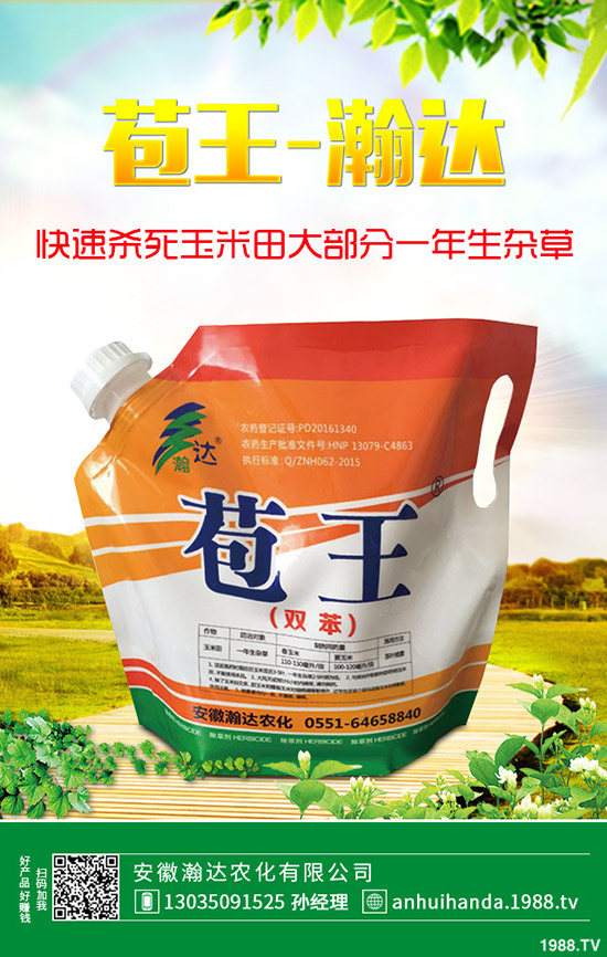 �紺�²���ôʩ�����²�ʩ�ʷ�����ע�����(xi��ng)��