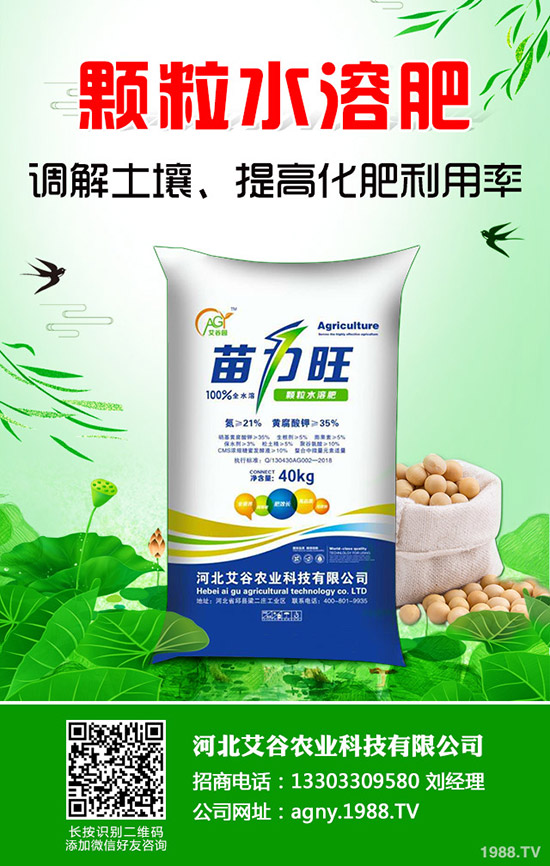 大蒜灰霉病怎樣防治，大蒜灰霉病的癥狀及防治！