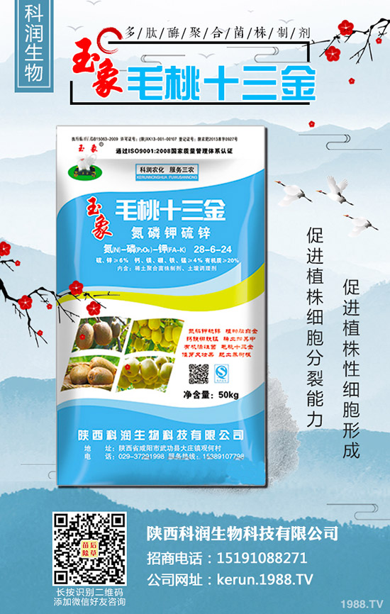     2019-10-30最新二銨價格行情動態(tài)評述，多少錢一噸？