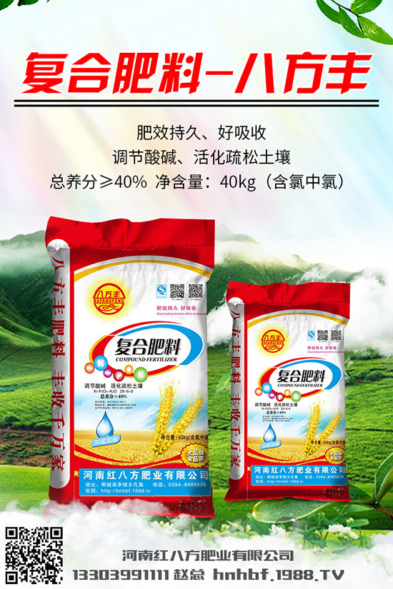 芹菜怎么種？芹菜什么時候種植好？芹菜種植時間和方法！