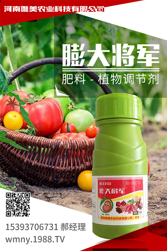 小麥底肥施足的依據(jù)是什么？小麥底肥的施用方案