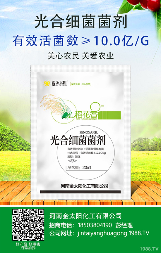 辣椒爛果多原因？辣椒爛果防治辦法！