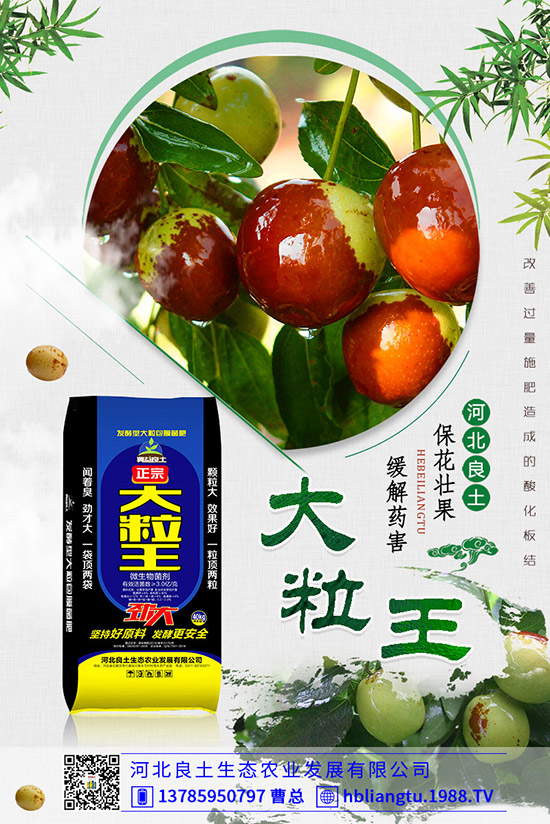 甜瓜落花落果原因有哪些？甜瓜如何提高座果率？