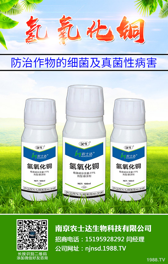 種植高產(chǎn)黑苦瓜應(yīng)掌握哪些方法?黑苦瓜的高產(chǎn)管理