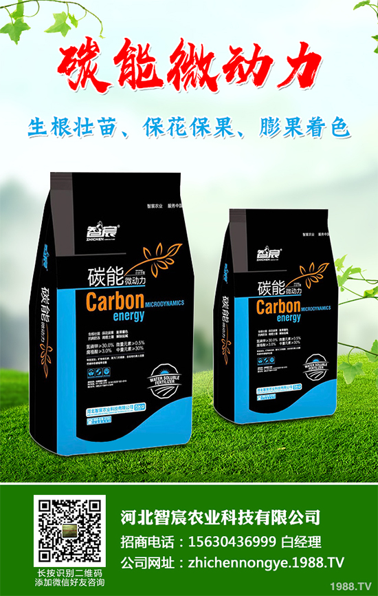 冬季大棚蔬菜種植該注意什么?切記別進這六大誤區(qū)