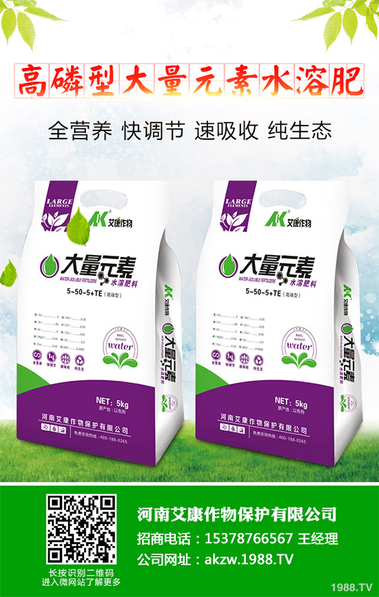 鹽堿地能種植棉花嗎?鹽堿地植棉高產(chǎn)技術(shù)