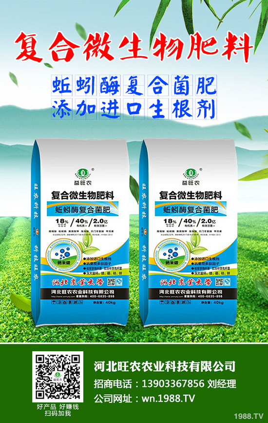 吃菠蘿蜜有什么好處，菠蘿蜜的功效與作用有哪些？