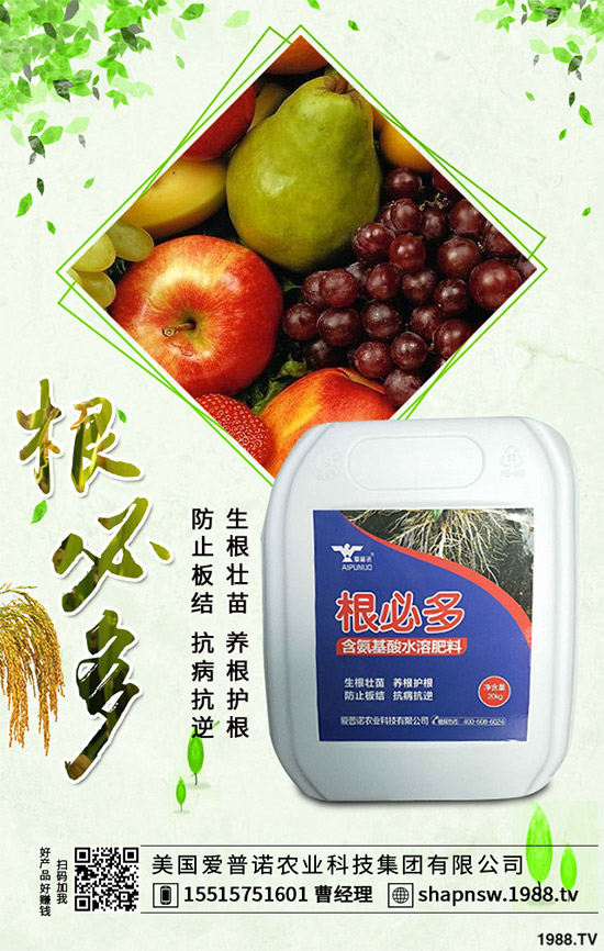 ������ô�������ܸ߮a(ch��n)�����Ӹ߮a(ch��n)�ߴ������ʩ