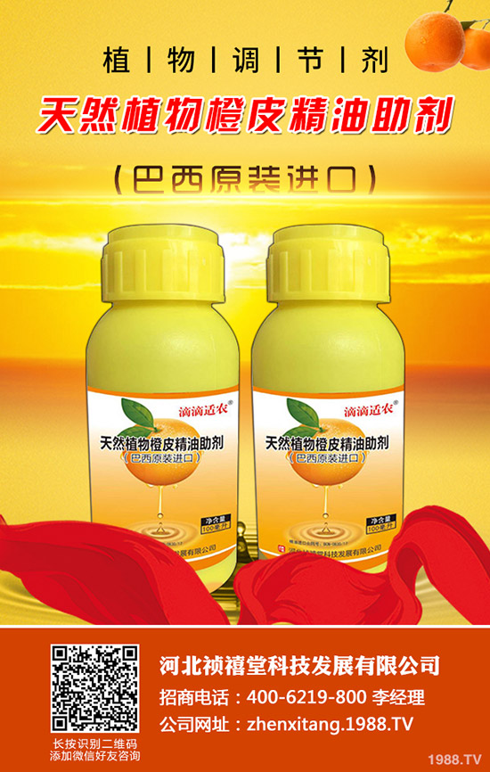 大頂苦瓜怎么種植？如何才能高產(chǎn)增收？