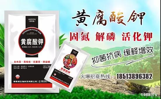 礦源黃腐酸鉀——精品肥!1公斤=8噸有機(jī)肥!新疆源頭直發(fā)。。