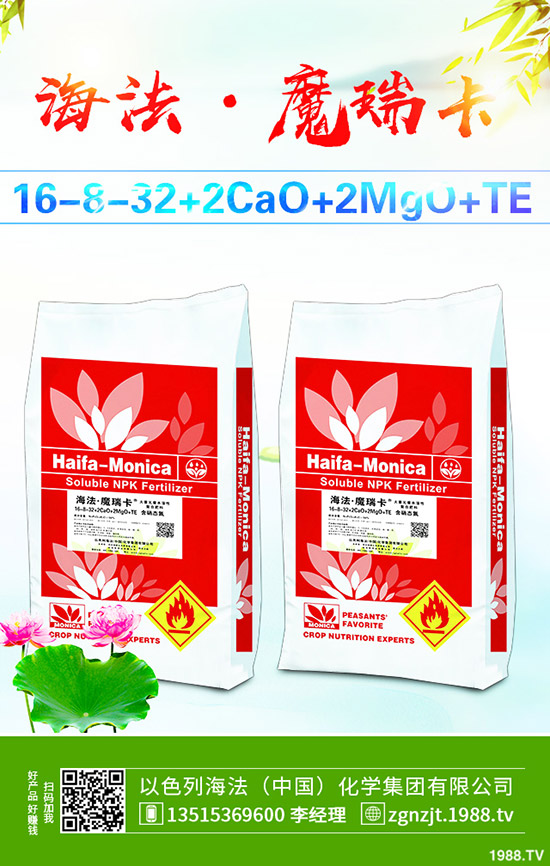     2019年11月中旬磷酸二銨價(jià)格行情走勢(shì)綜合分析！