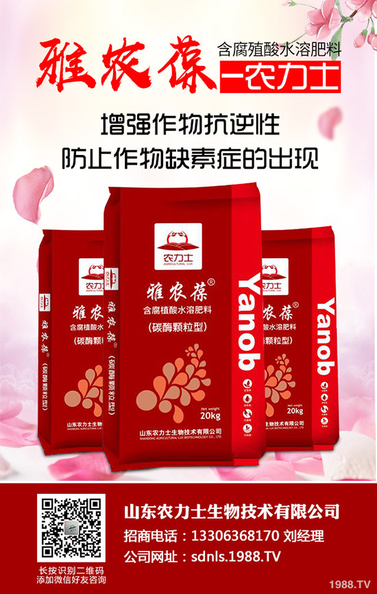 進入11月下旬!最新尿素市場行情后市走勢預測!