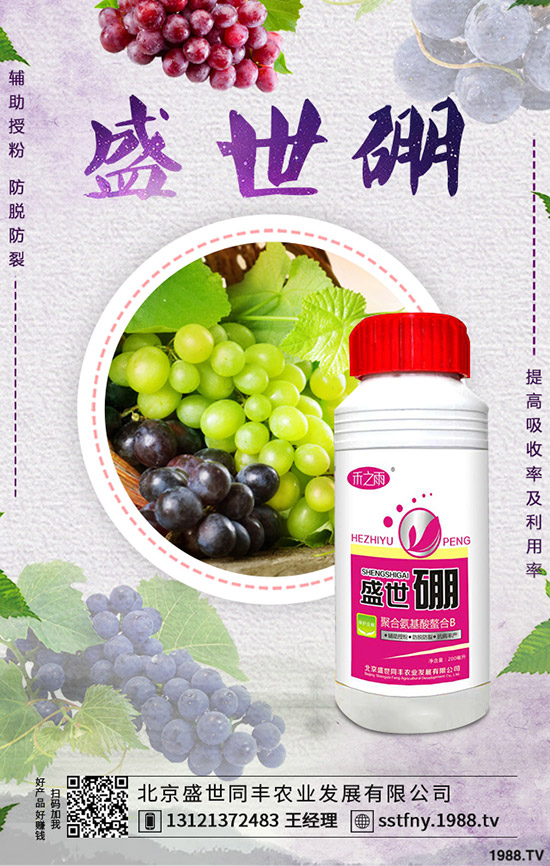 西葫蘆早疫病的發(fā)病原因是什么?如何防治西葫蘆早疫???