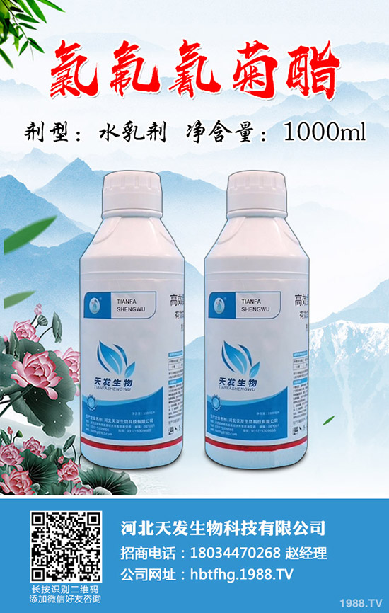 小麥吸漿蟲危害有多大？小麥吸漿蟲防控技術(shù)！