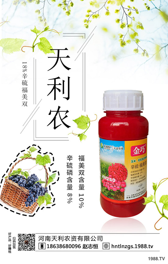 冬棗縮果病是咋回事？冬棗縮果病發(fā)病癥狀、原因和防治措施！