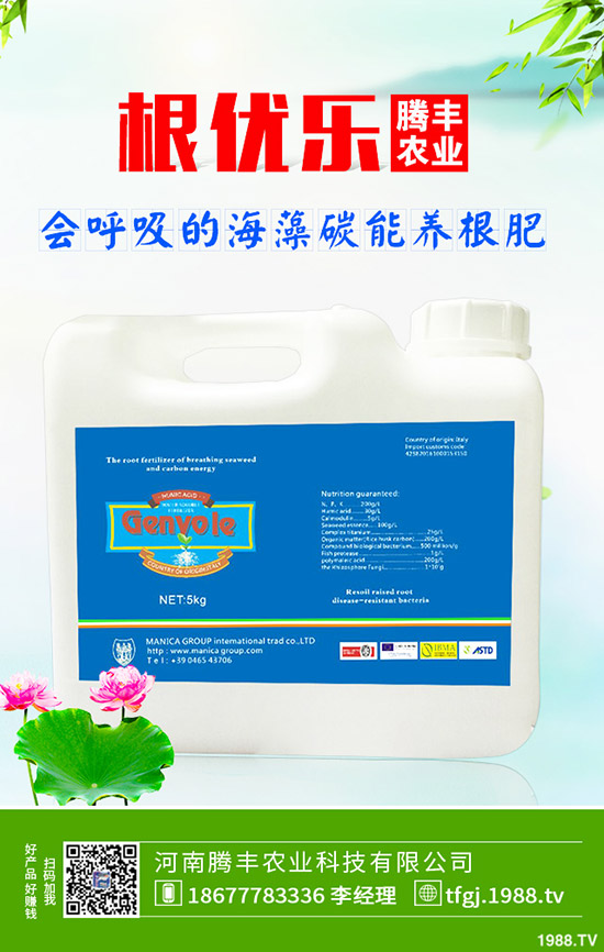 石榴褐斑病導致發(fā)黃落葉怎么辦？石榴褐斑病的防治要點！