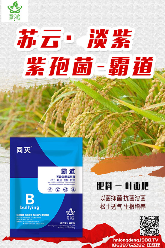 如何種植盆栽玫瑰,盆栽玫瑰的種植方法和注意事項!