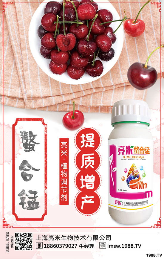 黃秋葵有哪些營(yíng)養(yǎng)價(jià)值？黃秋葵高產(chǎn)栽培技術(shù)