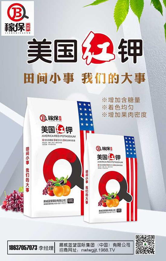 瑞香花養(yǎng)殖方法有哪些？瑞香花養(yǎng)殖注意事項！