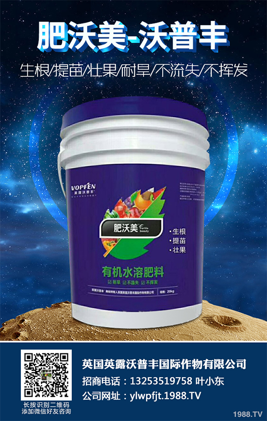 冬季能移植白皮松嗎?白皮松冬季移植攻略