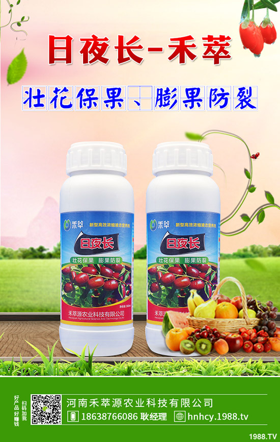 菠菜炭疽病的病因有哪些？菠菜炭疽病的防治要點(diǎn)！