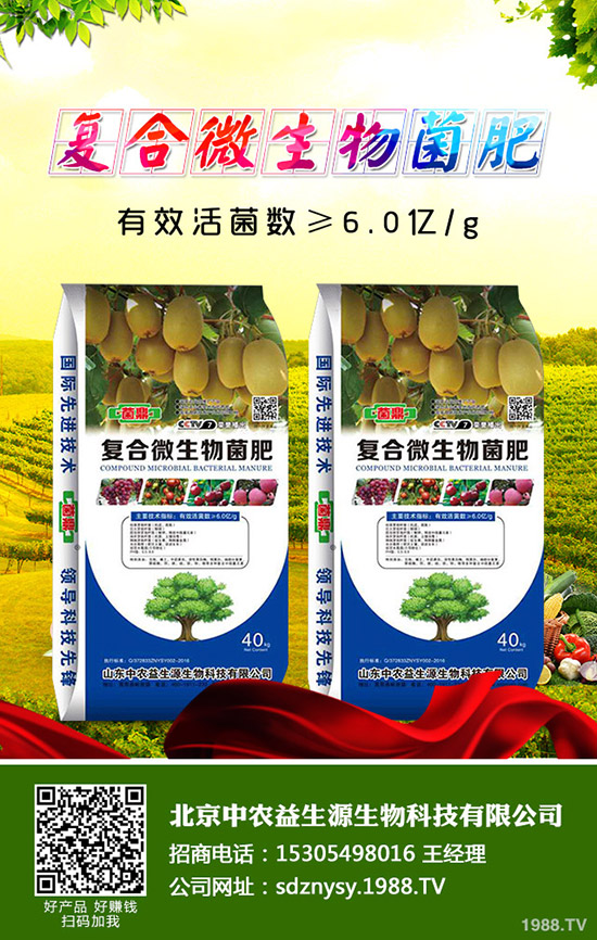 12月復(fù)合肥市場氣氛有望好轉(zhuǎn)！今日復(fù)合肥價格行情走勢分析！2019-11-30