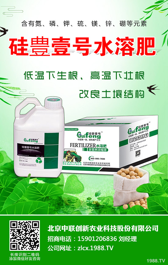 復(fù)合肥跌出今年價(jià)!近期最新復(fù)合肥行情綜合分析2019-11-30