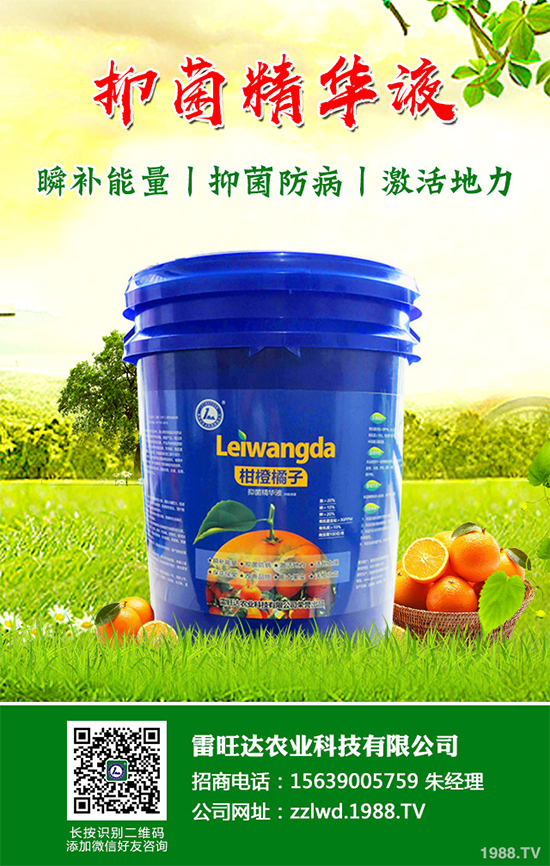 長(zhǎng)期低溫寡照，蔬菜長(zhǎng)勢(shì)差該如何解決？冬季大棚補(bǔ)光的幾項(xiàng)措施