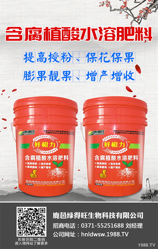 大棚蔬菜沖施肥需要注意什么？冬季大棚蔬菜施肥技術(shù)