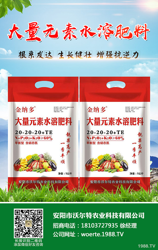 龍眼怎么種，龍眼種植要求有哪些？