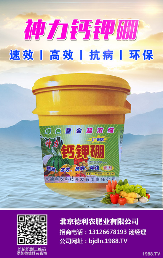 八月瓜種植前景如何，八月瓜種植要點(diǎn)！